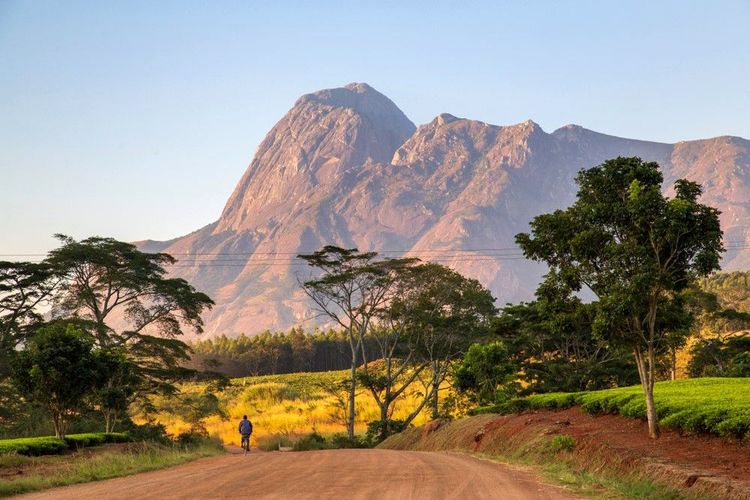 Le mont Mulanje