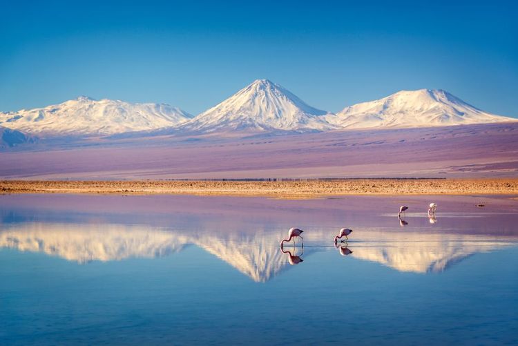 Licancabur, Bolivie/Chili