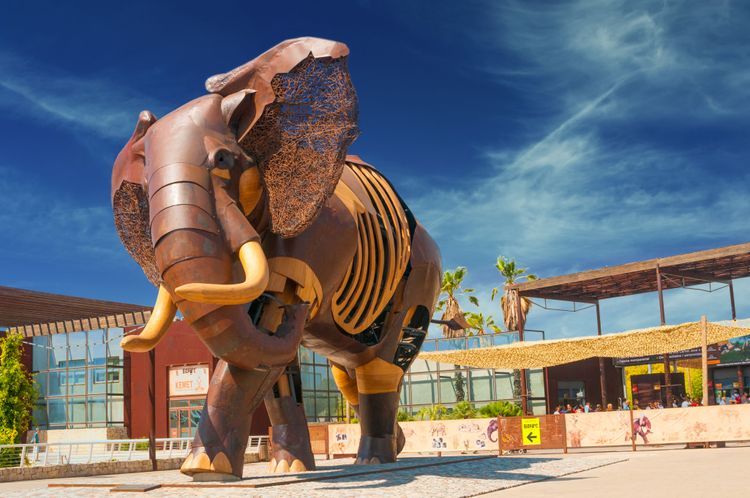 The Valencia Biopark, a zoo dedicated to animal welfare