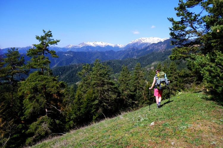 Randonnée dans le parc national de Borjomi-Kharagauli