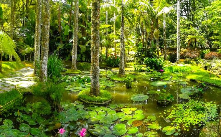 Le parc Terra Nostra