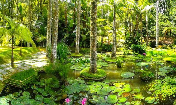 L'éden du jardin Terra Nostra