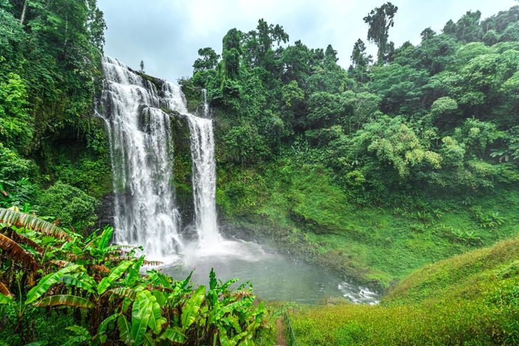 Le Plateau du Bolaven, la chute de Tad Yuang ou Yuang, La grande cascade dans la jungle verte près de Pakhani, Champasak, Laos.