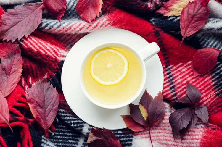 Prendre tranquillement un thé au citron sous un plaid en laine