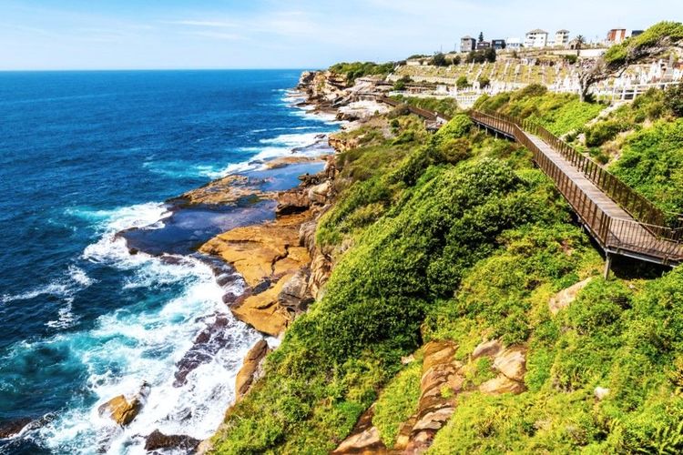 Passerelle en bois sur la Bondi to Coogee walk