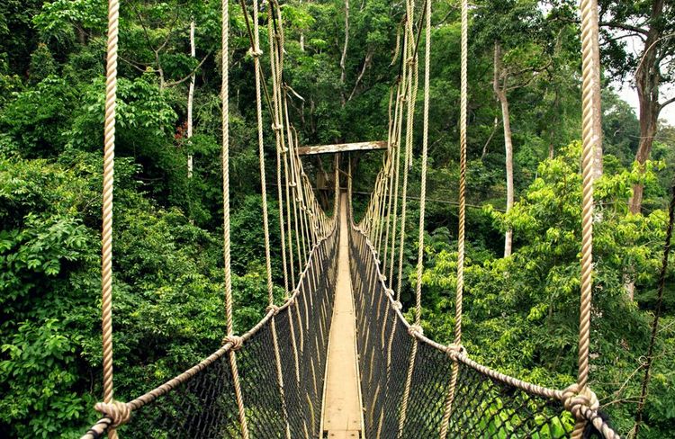 Parc national de Kakum, Ghana