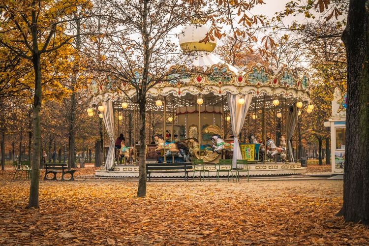 Jardin des Tuileries