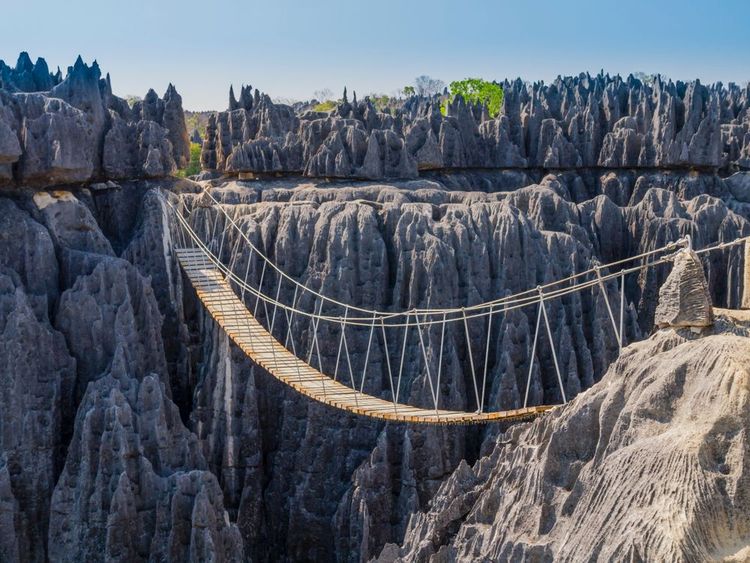 La "forêt de pierres" de Madagascar