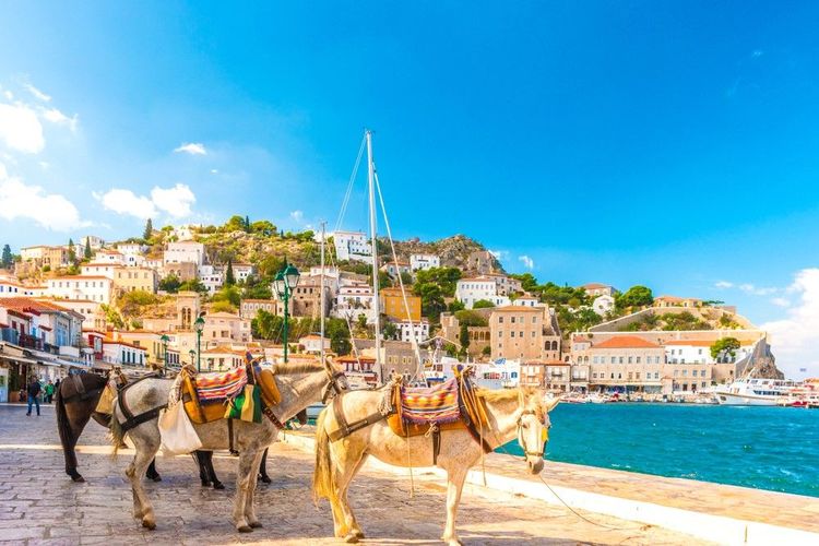 Des ânes attendent sur le quai du village d'Hydra