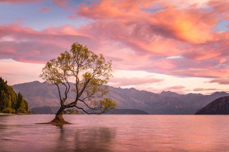 Lac Wanaka, Nouvelle-Zélande