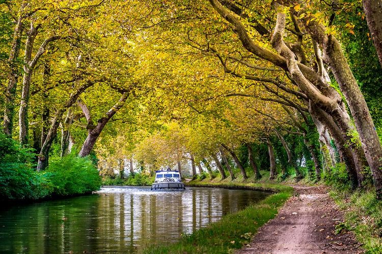 Croisière sur le canal du Midi au départ de Toulouse