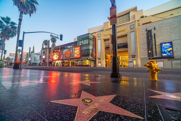 Les étoiles du Walk of Fame.