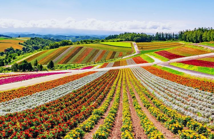 Hokkaido