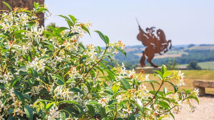 Lupiac, la statue de d'Artagnan à l'orée du village