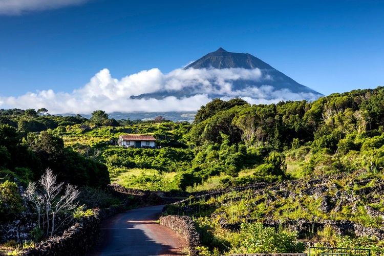 Le mont Pico : sentier vertigineux à la conquête du sommet du Portugal