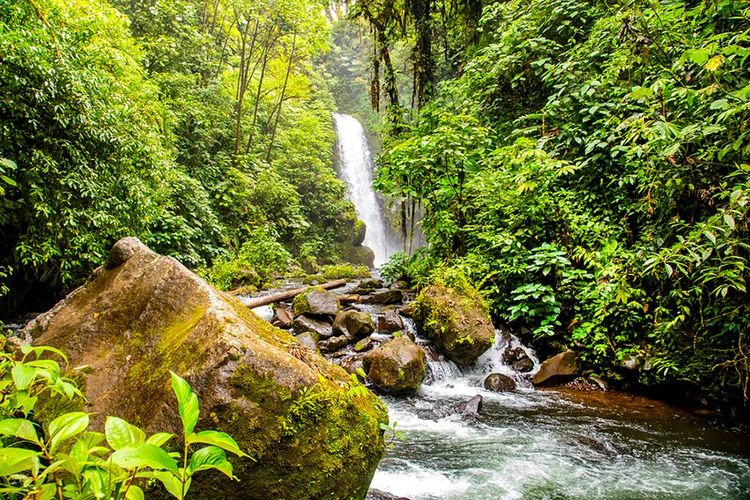 La cascade des jardins de la cascade de la Paz.