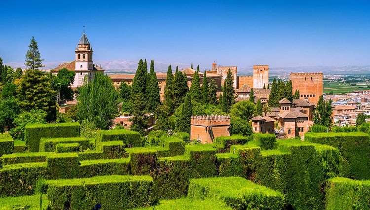 Les buis parfaitement taillés des jardins