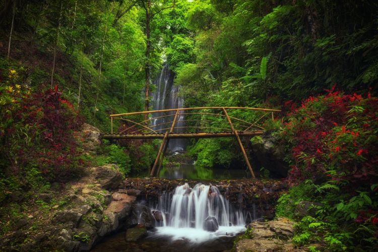 Le pont de la cascade de Labuhan Kebo