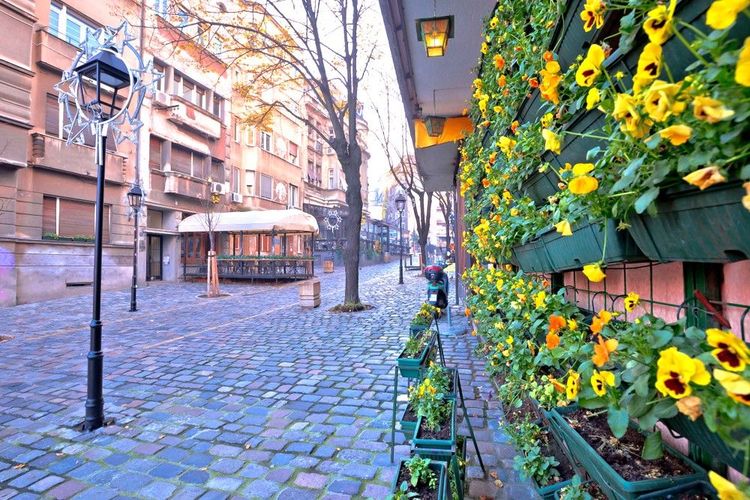 Skadarlija sait aussi être un quartier parfaitement tranquille