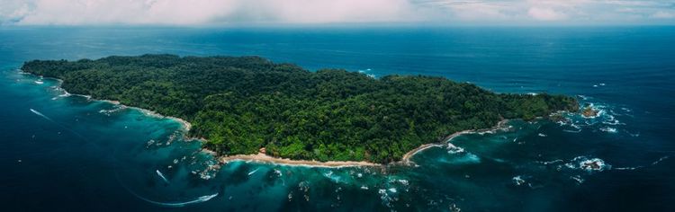 The incomparable biodiversity of Isla del Caño