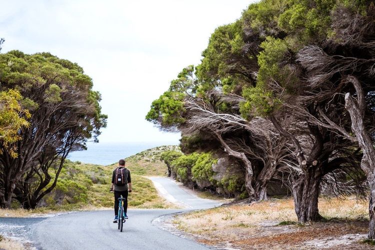 Vélo à Rottnest Island