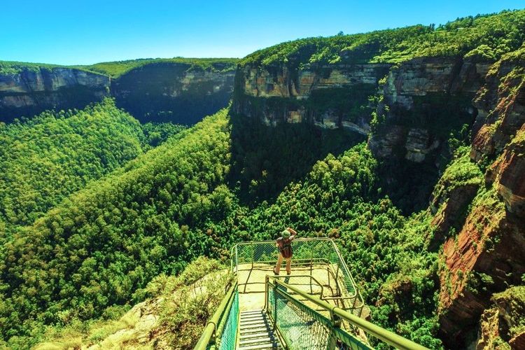 Vue sur le Pulpit Rock dans le Blue Mountains National Park, Grose Valley, Blue Gum Forest et Govetts Leap