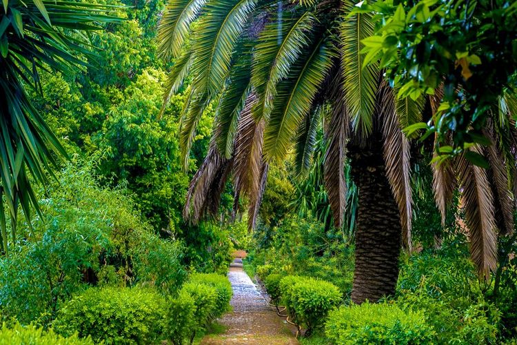 Jardin exotique à Sala Colonia, à Rabat