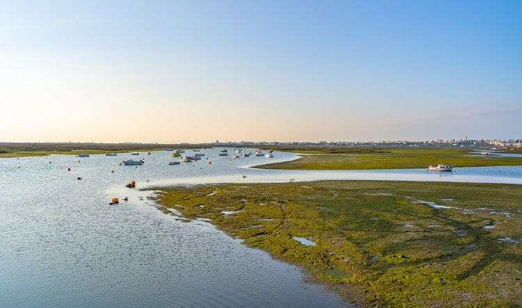 Ria Formosa, Algarve, Portugal