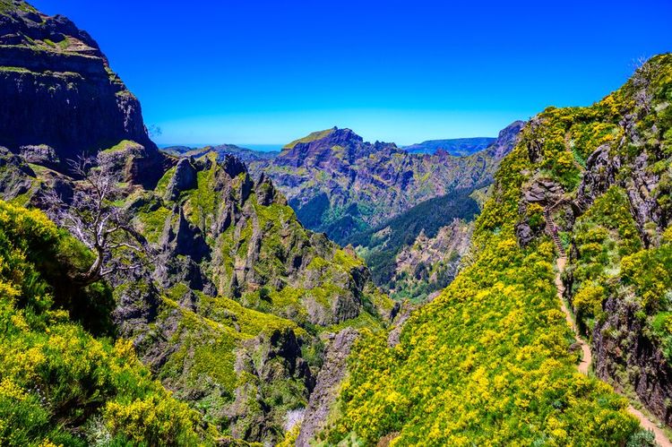 Vue remarquable depuis le sentier PR1, Vereda do Areeiro