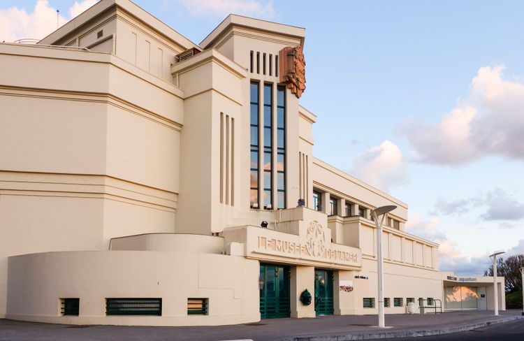  Aquarium von Biarritz: Entdecken Sie die Meeresflora und -fauna der baskischen Küste