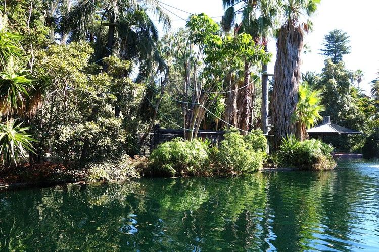 Le zoo de Perth est très arboré