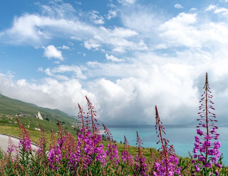 Lac du Mont Cenis dans les Alpes françaises en été.