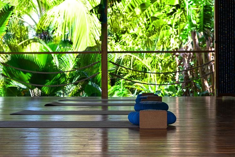 Salle de yoga, ouverte sur la nature costaricienne