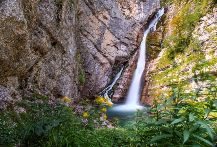 Cascade Savica
