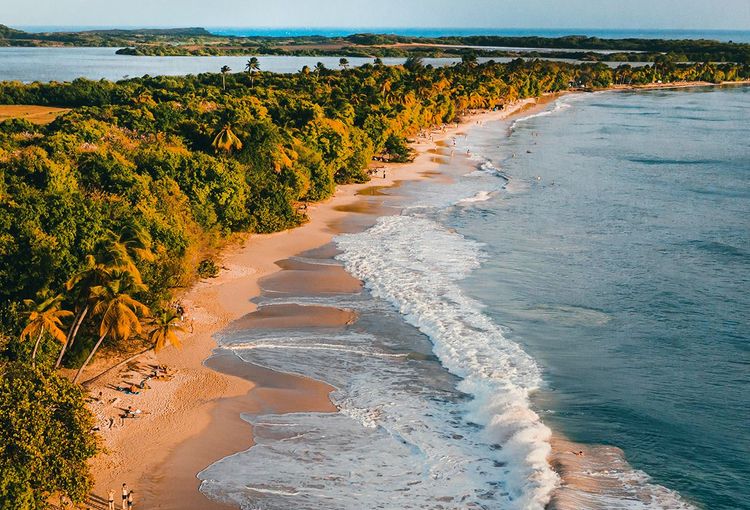 Une merveille martiniquaise : la plage des Salines