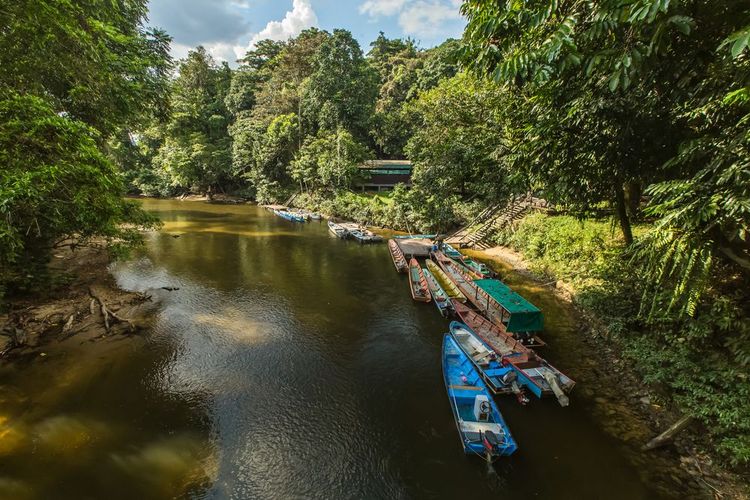 La rivière qui mène à la grotte de Sarawak, Bornéo
