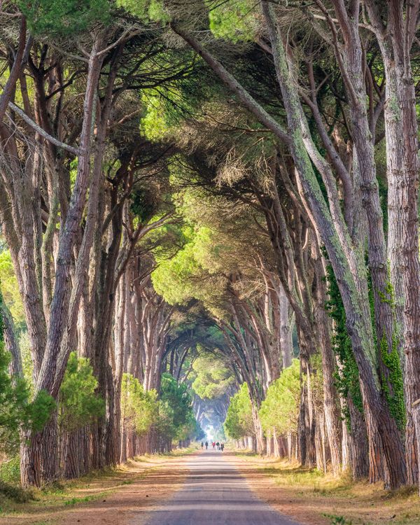 Parco San Rossore: un’immensa riserva naturale