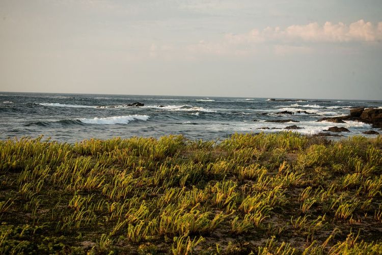 L'île d'Yeu