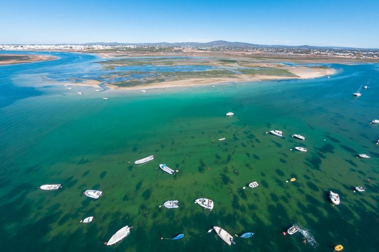 Ria Formosa : un sanctuaire naturel aux mille trésors