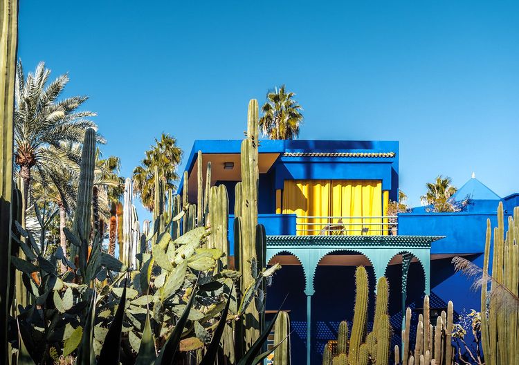 La villa Majorelle, Marrakech, Maroc
