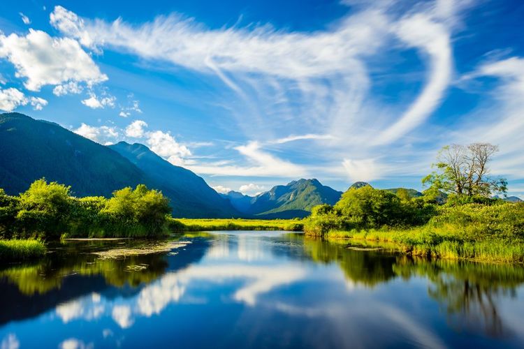 Le lac Pitt, prairies et montagnes de Maple Ridge