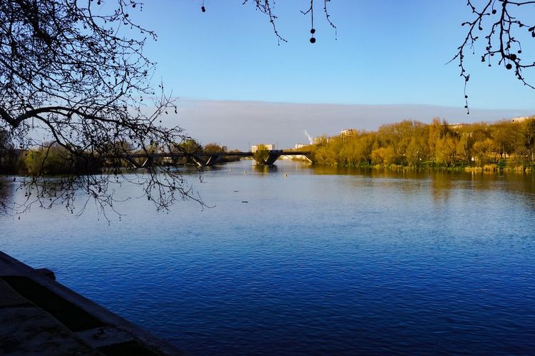 Blick auf die Pont-Neuf und die Prairies des Filtres