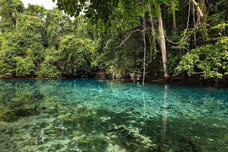 Trou bleu de Nanda, Vanuatu