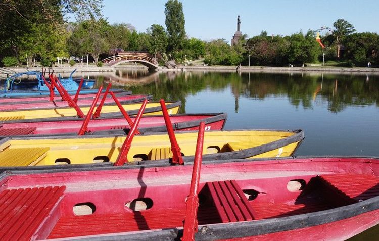 Les barques du bassin