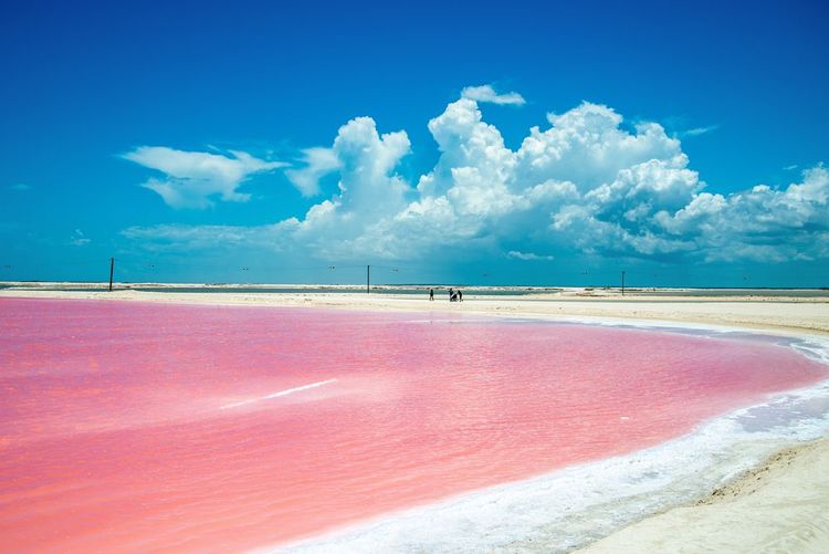 Las Coloradas, Yucatan, Mexique