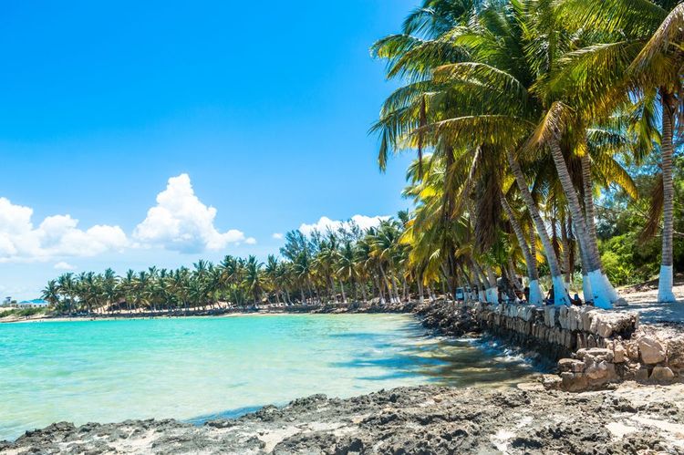Plage d'Ifaty dans le sud de Madagascar