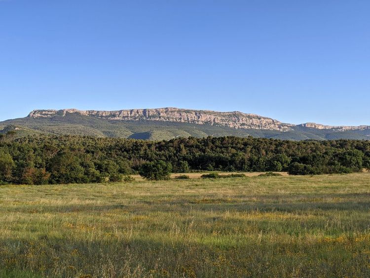 Massif de la Sainte-Baume