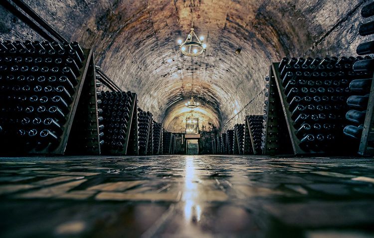 Dans une cave de Champagne