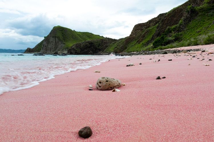 Pink Beach dans le parc national Komodo à Flores, Indonésie