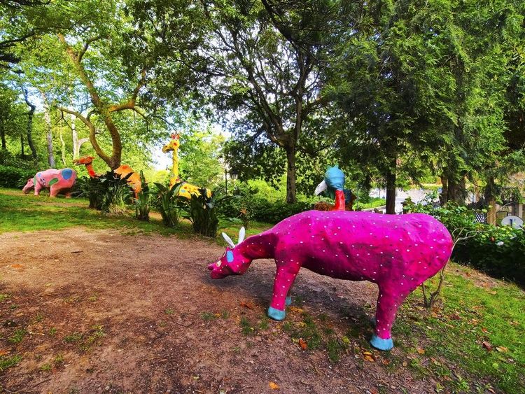 Parc public à Sintra, renfermant des animaux très colorés